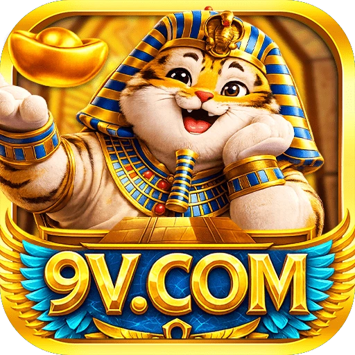 9V app Logo
